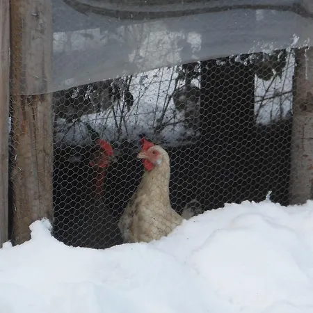 L'atelier De Gisele Oberhaslach