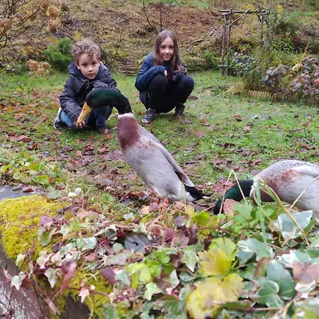 L'atelier De Gisele Oberhaslach