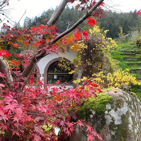 Alojamento de Acomodação e Pequeno-almoço L'atelier De Gisele Oberhaslach