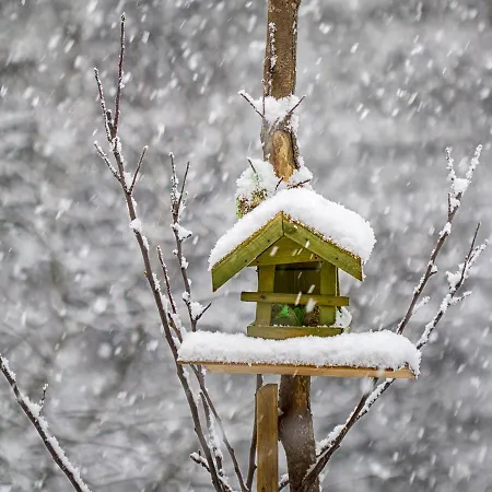 L'atelier De Gisele Alojamento de Acomodação e Pequeno-almoço Oberhaslach